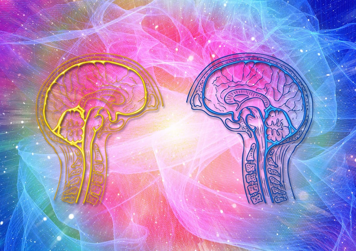 EMDR vs. CBT, Which Therapy Should You Use for You?